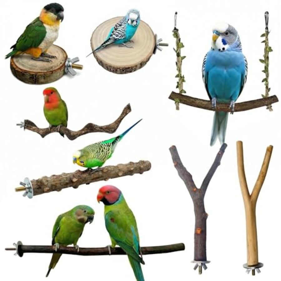 Health & Wellness Juice & Smoothie Bar - 8PCS natural wood bird perches for