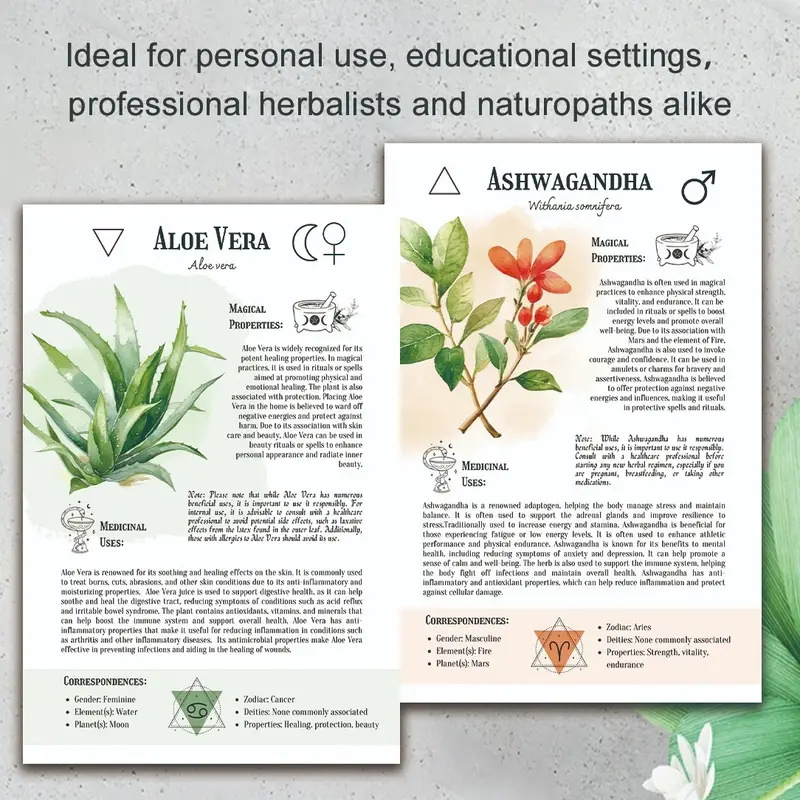 Natural Remedies Handbook with – Health & Wellness Juice & Smoothie Bar recenzja i cena
