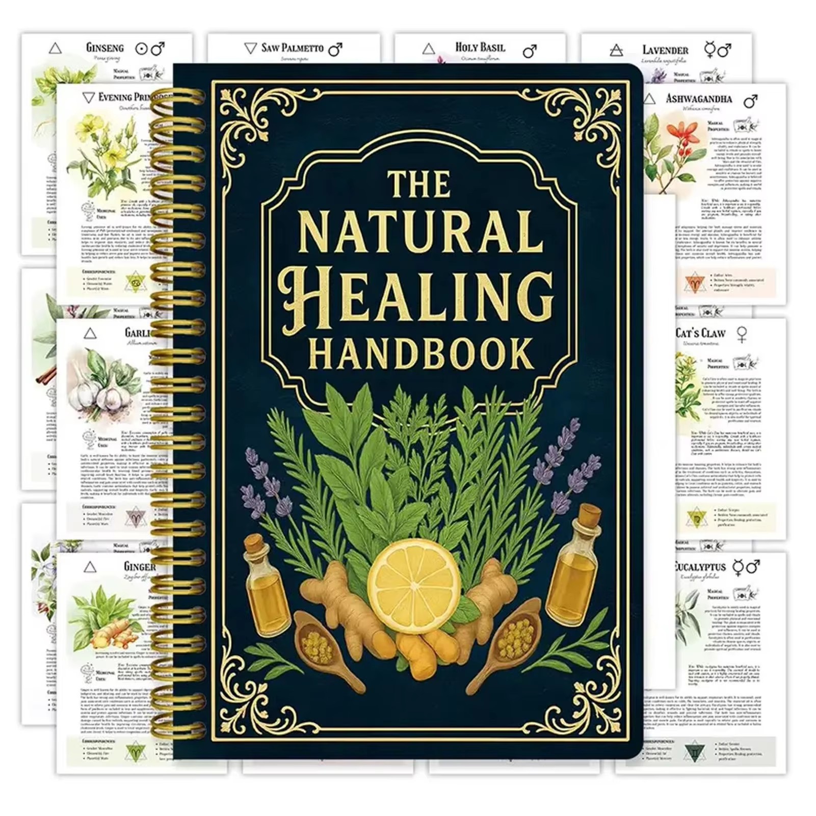Healing Handbook By Luna Filby – Health & Wellness Juice & Smoothie Bar recenzja i cena